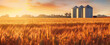 A field of golden wheat with modern silver grain silos in the background, symbolizing rural farmland and agricultural production