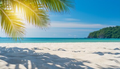 Wall Mural - selective focus of summer and holiday backgrounds with white sand and shadow coconut palm leaf