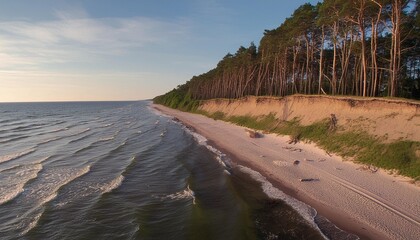 Wall Mural - naturstrand mit kustenwald im abendlicht ostsee mecklenburg vorpommern deutschland