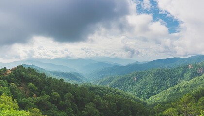 Wall Mural - panoramic view of wooded mountains hills and forest dramatic wall green tree forest in fog and blue sky with low gray clouds for creative background back to nature concept banner copy space