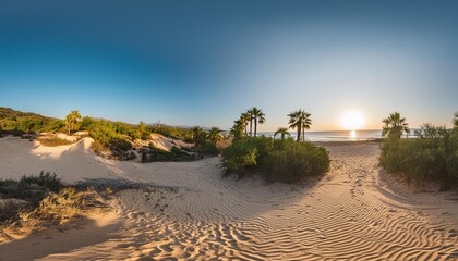 Wall Mural - oasis at sunset in a sandy desert environment map hdri equidistant projection spherical panorama panorama 360