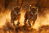 African cheetahs in full sprint, legs outstretched and tails streaming, racing through a golden field at sunrise, embodying the essence of speed and grace in the African wild