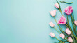 Pale pink tulips on pastel blue with copy space background