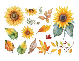 Wall Mural - Sunflowers watercolor bouquet with wild flower isolated white background.
