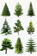 © dekreatif - Greek plant Christmas trees depicted in realistic stop-motion animation