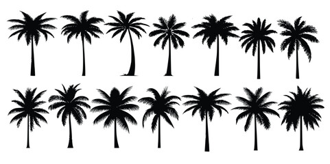 Wall Mural - set of silhouettes of palm trees