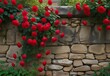 Crimson roses climbing a weathered stone wall, generative AI