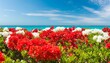 vibrant red and white flowers painting in turquoise with blue sky background