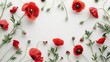 Red poppy and buds arrangement on white background with room for text Top view flat lay