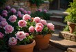 A secret garden hidden behind ancient stone walls, bursting with the vibrant colors of peonies, their lush blooms spilling over the edges of weathered terracotta pots, generative AI