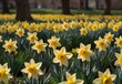 A sun-dappled glade filled with golden daffodils swaying in the breeze, their cheerful yellow blooms signaling the arrival of spring, a scene of pure joy and renewal, generative AI