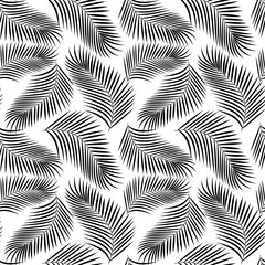 Wall Mural - Palm leaves isolated on transparent background.
Background, seamless monochrome vector pattern.