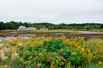 Wall Mural - Scenic view of Gloucester harbor MA USA