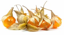 Ripe Physalis Fruits With Calyx Isolated On White Background