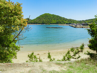 Wall Mural - 瀬戸内海の青い海　香川県の直島　自然	