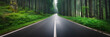 Asphalt road in the green forest. Panoramic view.