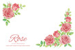 水彩手書きの薔薇の花のベクターイラストフレーム