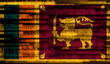 Flag of Sri Lankai on binary code. Modern technology concept
