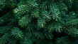 © ZeNDaY - A background of dark green pine needles covered with dew, giving a serene forest ambiance