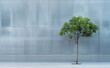 One lone tree standing in a stark urban environment, using a simple concrete or steel background to highlight the greenery. 