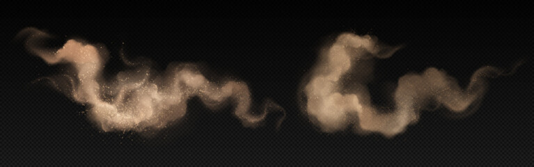 Wall Mural - dirt sand dust, desert powder with smoke vector effect. isolated flying particle on storm wind. 3d r
