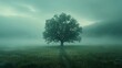 © LuvTK - A cinematic portrayal of a meadow shrouded in morning
