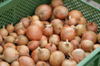Zwiebeln auf einem Wochenmarkt