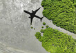 Shadow airplane flying above mangrove forest. Sustainable fuel. Biofuel in aviation. Sustainable transportation and eco-friendly flight with biofuel use. Aviation sustainability. Mangroves capture CO2