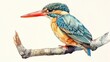 Large Billed Kingfisher Bird