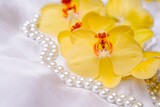 Fototapeta  - The branch of yellow orchids on white fabric background
