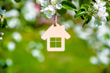 Fototapeta  - Symbol of the house on the branches of a flowering apple
