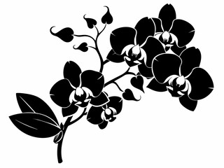 Orchid flowers with branch Vector silhouette illustration isolated on a white background.
