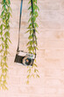 Old black camera hanging on the wood wall.