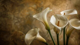 Elegant arrangement of several calla lilies against a textured backdrop.