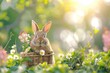 Rabbit sitting in basket amidst field of flowers