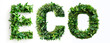 © annaspoka - eco text e c o letter made of green leaves, concept of design element symbol icon logo for sustainable ecological business ecolabel