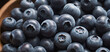 Fresh ripe blueberries berries