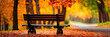 Bench in autumn park panorama background.