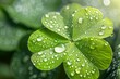 background with four leaf clover