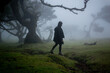 One person silhouette in foggy mistical Fanal Forest in Madeira Island, Portugal