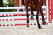 Horse pass the line to red obstacle. Equestrian sports details. Gallop of a dark tail bay horse. Horse legs close up