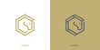 Minimal Horse Logo Designs. Horse Head with Hexagon Shape in Geometric Style Logo, Icon, Symbol, Vector, Design Inspiration.