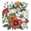 Anemones and poppy floral arrangement on white background. Beautiful bouquet of flowers, detailed botanical illustration.