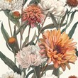 Beige and orange peonies. Beautiful bouquet of flowers, detailed botanical illustration.