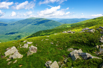 Wall Mural - scenery of polonyna smooth. mountainous landscape of ukraine in summer. stones on the grassy hillsid