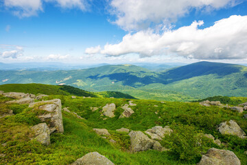Wall Mural - scenery of polonyna smooth. mountainous landscape of ukraine in summer. stones on the grassy hillsid