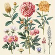 Vintage style antique book page. Beautiful bouquet of flowers, detailed botanical illustration.