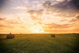 Fototapeta  - A field with haystacks on a summer or early autumn evening with a cloudy sky. Procurement of animal feed in agriculture. Rural landscape at sunset or sunrise.