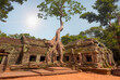 Ta Prohm temple ruins hidden in jungles at Angkor Wat - Wall carving with woman famous Angkor Wat complex, Siem Reap, Cambodia