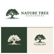 Tree logo design vector. Nature trees vector illustration. Oak tree logo concept
